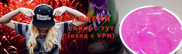 гашик Алзамай