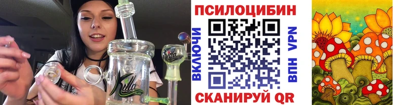 Псилоцибиновые грибы прущие грибы  Пучеж 